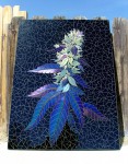 glass, mosaic, art, fine, flowering, bud, weed, marijuana, leaf, purple, kush, iridescent, black, green